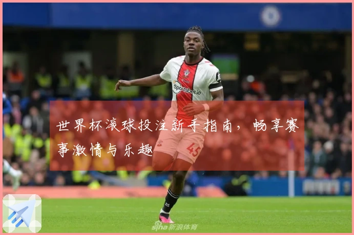 世界杯滚球投注新手指南，畅享赛事激情与乐趣