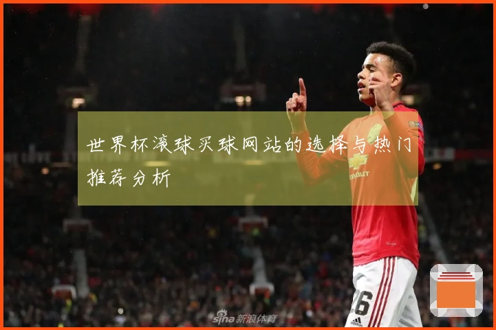 世界杯滚球买球网站的选择与热门推荐分析