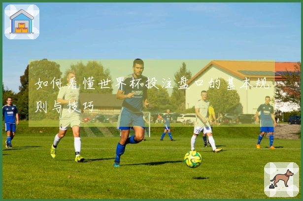 如何看懂世界杯投注盘口的基本规则与技巧
