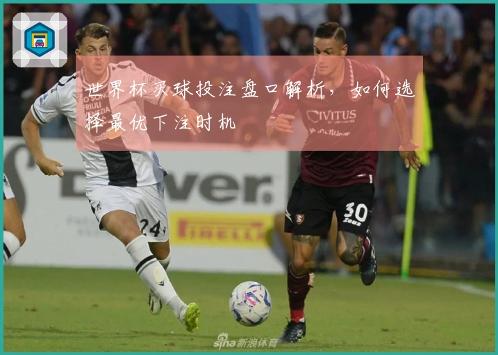 世界杯买球投注盘口解析，如何选择最优下注时机