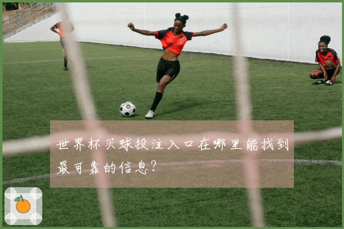 世界杯买球投注入口在哪里能找到最可靠的信息？