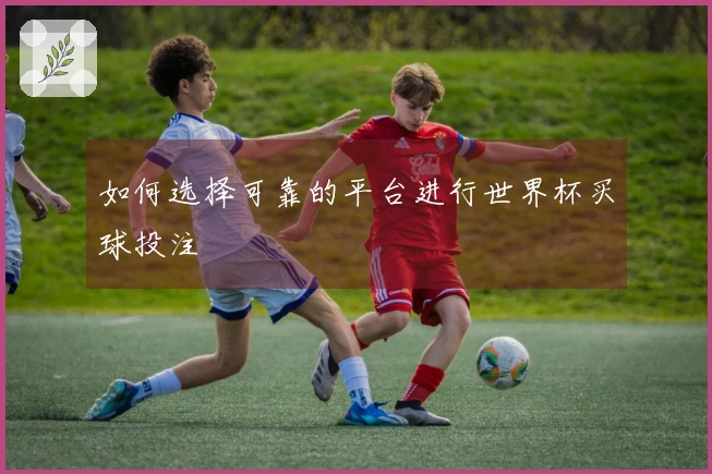 如何选择可靠的平台进行世界杯买球投注