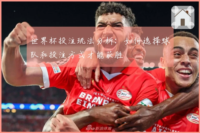 世界杯投注玩法分析：如何选择球队和投注方式才能获胜