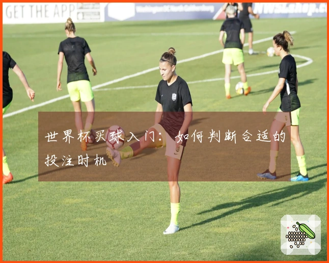 世界杯买球入门：如何判断合适的投注时机
