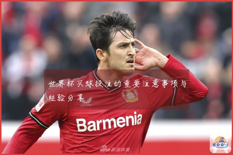 世界杯买球投注的重要注意事项与经验分享