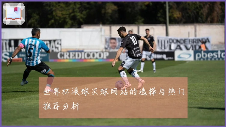 世界杯滚球买球网站的选择与热门推荐分析