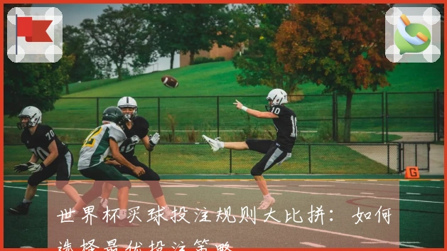 世界杯买球投注规则大比拼：如何选择最优投注策略