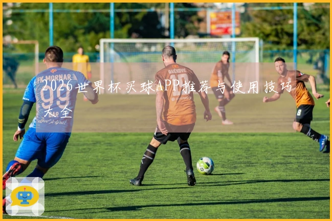 2026世界杯买球APP推荐与使用技巧大全
