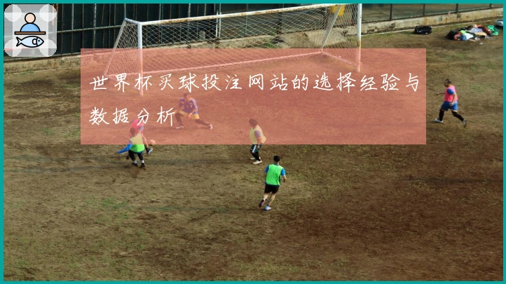世界杯买球投注网站的选择经验与数据分析