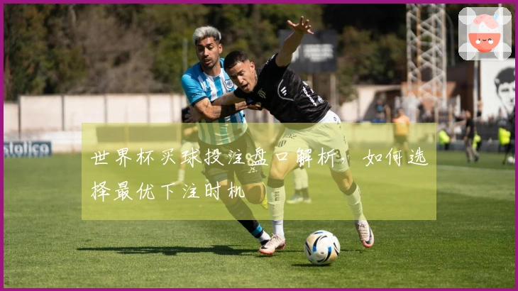 世界杯买球投注盘口解析，如何选择最优下注时机
