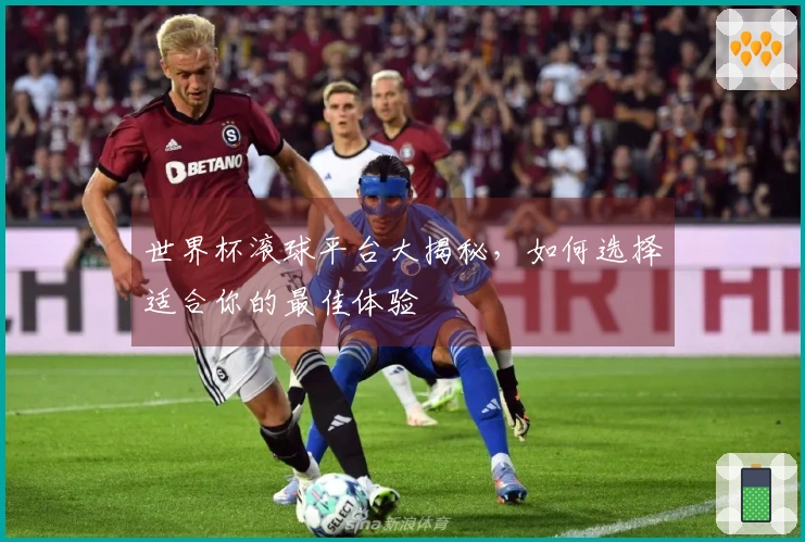 世界杯滚球平台大揭秘，如何选择适合你的最佳体验