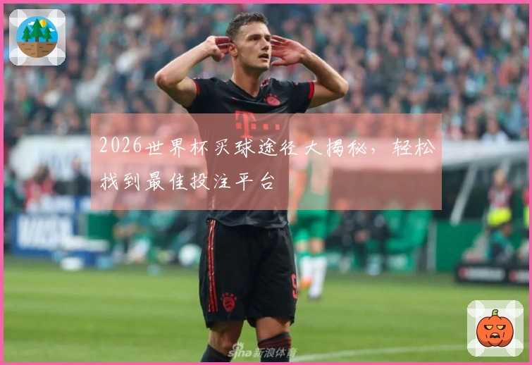 2026世界杯买球途径大揭秘，轻松找到最佳投注平台