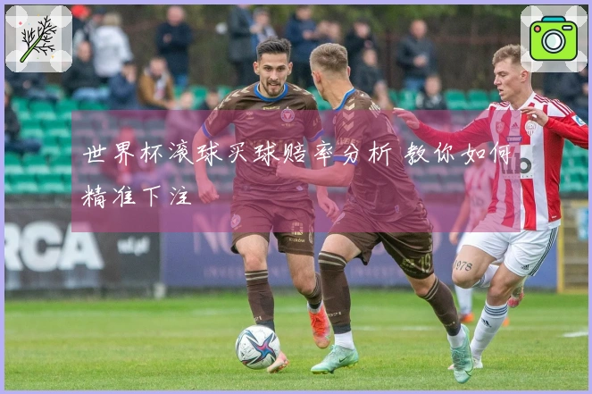 世界杯滚球买球赔率分析 教你如何精准下注